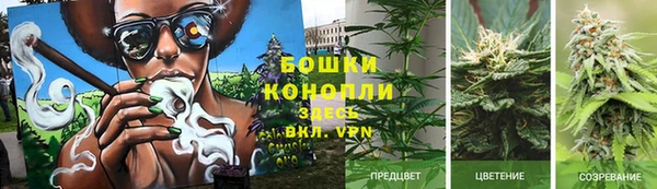 прущие крисы Белокуриха