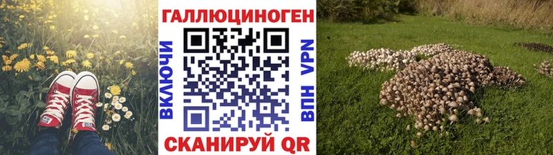 Псилоцибиновые грибы MAGIC MUSHROOMS  наркота  Пыть-Ях 
